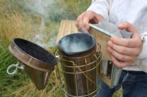 Imker entzündet einen Smoker, um Bienen vor Arbeiten am Bienenstock zu beruhigen.