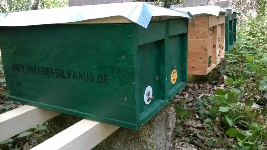 Ablegerkästen einer Imkerei mit mehreren Bienenvölkern an einem Bienenstand - ein Bienenprodukt für Imker, denn Bienenableger lassen sich so verpackt sehr gut kaufen, verkaufen und transportieren