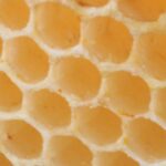 Nahaufnahme einer frischen Bienenwabe aus natürlichem Bienenwachs mit sechseckigen Wabenzellen.