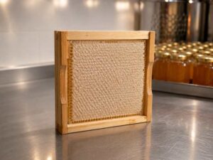 Verdeckelter Wabenhonig in einem Holzrähmchen – naturbelassener Honig direkt aus der Bienenwabe.