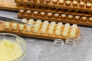 Produktion von Gelee Royale – Weiselnäpfchen werden für die Gewinnung von Gelee Royale vorbereitet.