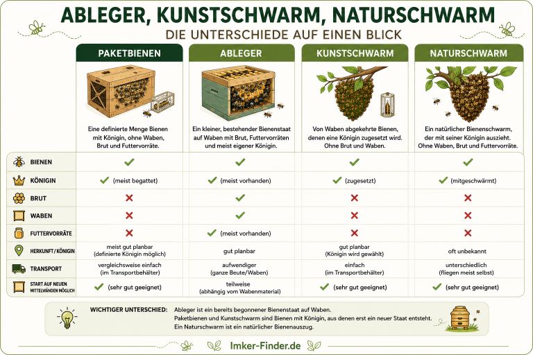 Vergleich von Paketbienen, Ableger, Kunstschwarm und Naturschwarm nach Bienen, Königin, Brut, Waben, Futtervorräten und weiteren Merkmalen.