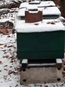 Bienenbeute mit Schnee an einem Bienenstand im Winter