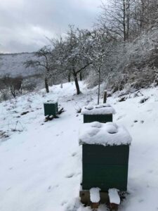 Bienenstöcke an einem verschneiten Bienenstand im Winter