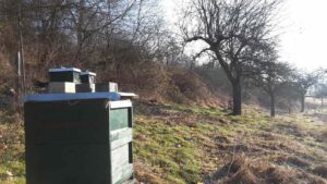 Bienenbeuten an einem Bienenstand im Herbst