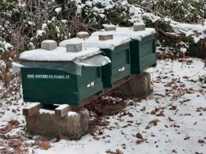 Bienenstöcke eines Imkers im Winter bei Schnee. Jetzt sollten die Imkerarbeiten im Winter i.G. abgeschlossen sein.