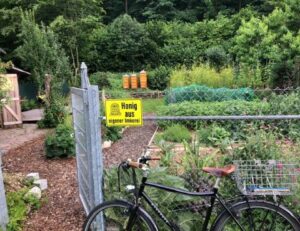 Gartentor mit gelbem Schild „Honig aus eigener Imkerei”, dahinter Gemüsebeete und orangefarbene Bienenbeuten für den Sternwaldhonig